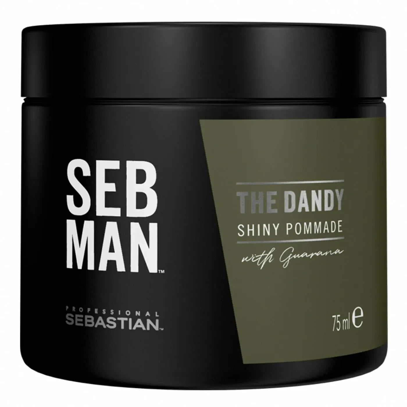 Sebastian Professional seb man the dandy pomade 75ml