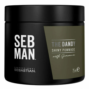 Sebastian Professional seb man the dandy pomade 75ml