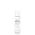 Goldwell Dualsenses Just Smooth Shampoo 300ml