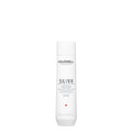 Goldwell DualSenses Silver Shampoo 300ml