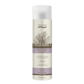 Natural Look Colourance Colour Refresher - Rose Blonde Shampoo 250ml