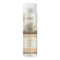 Natural Look Colourance Colour Refresher - Beige Blonde Shampoo 250ml