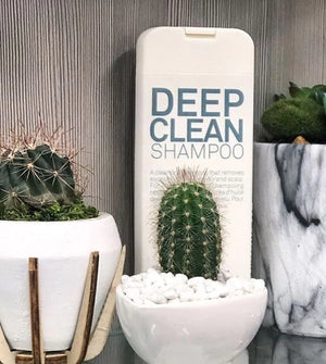 ELEVEN Australia Deep Clean Shampoo 300ml